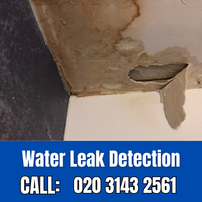 Expert Water Leak Detection Services in Elstree | Elstree Leak Detection